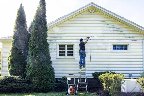 Best Soft Washing  in Troy, OH